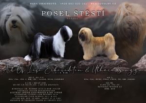 poselstesti.png
